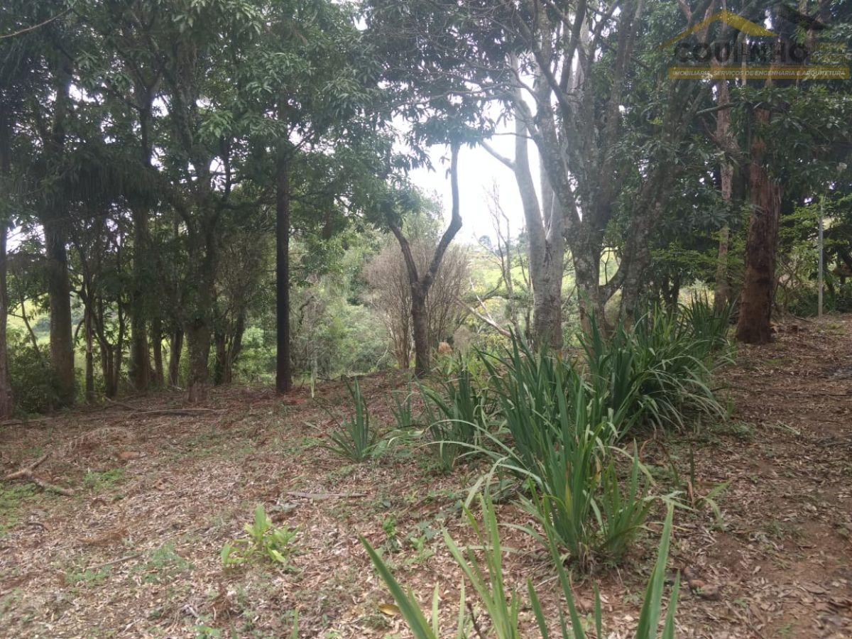 WhatsApp Image 2025-12-19 at 16.42.48.jpeg